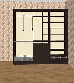 3D  Walk in Closet